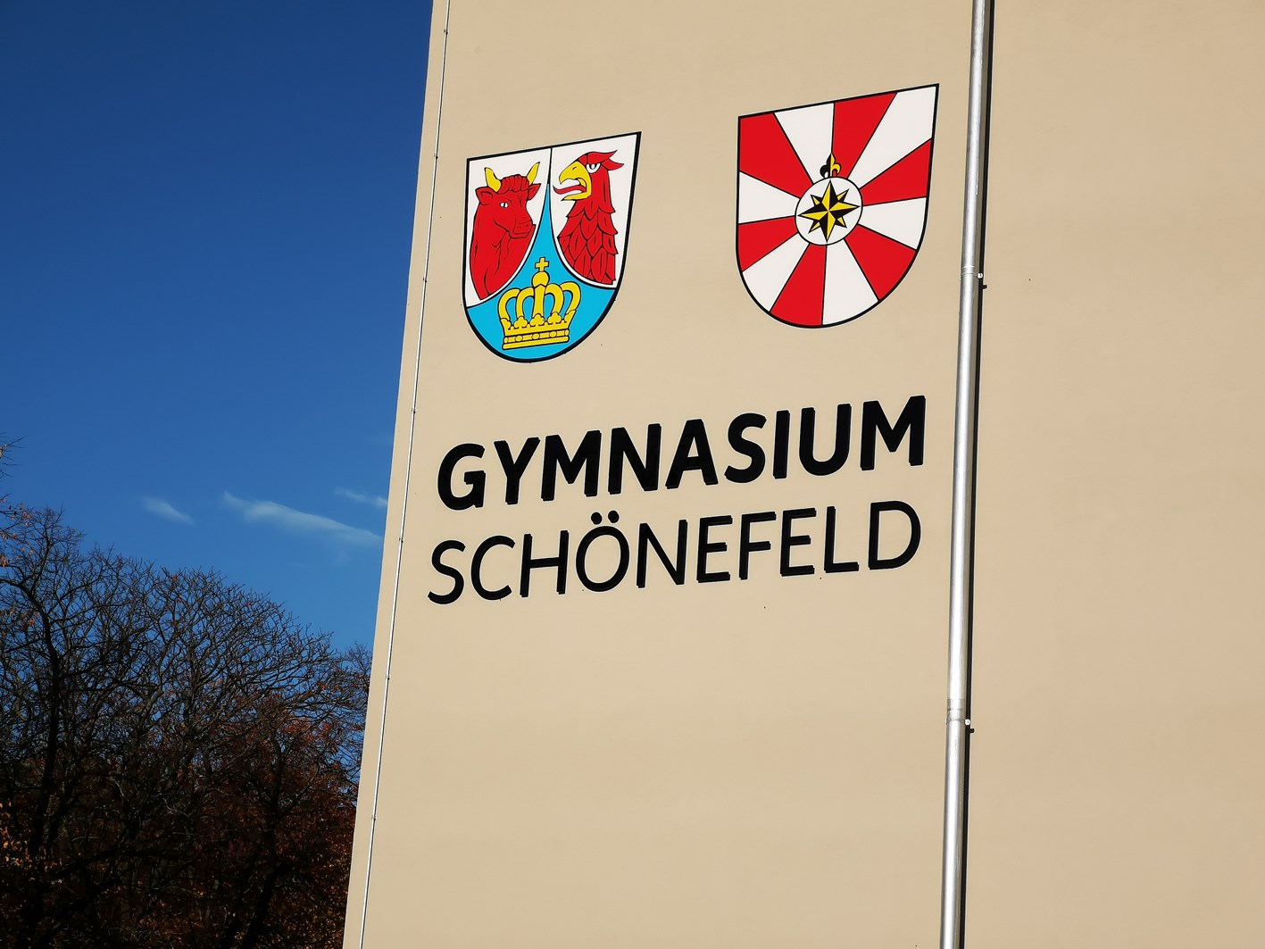 Digital transformation in classrooms with Optoma interactive flat panel display solutions